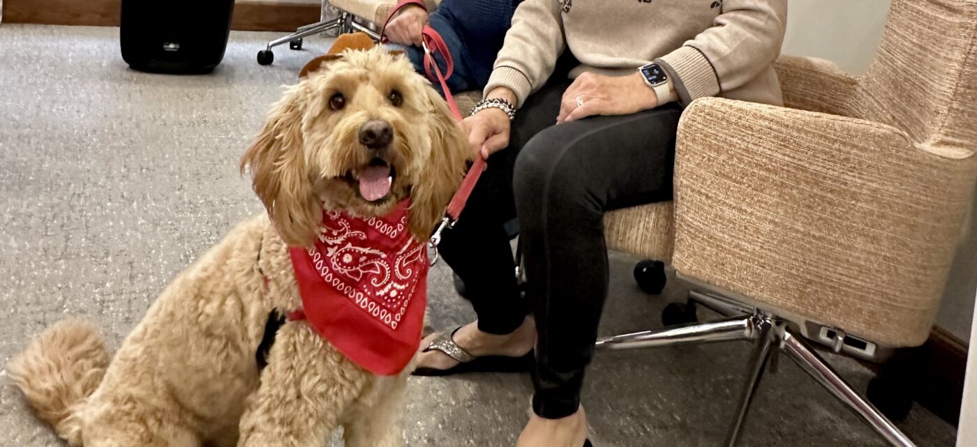 BV Hosts Bark-tober Pooch Parade